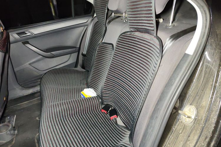 Volkswagen Santana 2019 car image #19