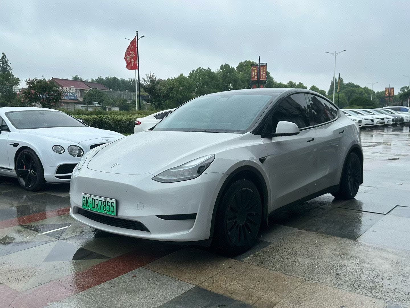 Tesla Model Y 2022 Tesla Model Y 2022 car image