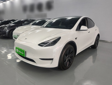 Tesla Model Y 2024 car image 