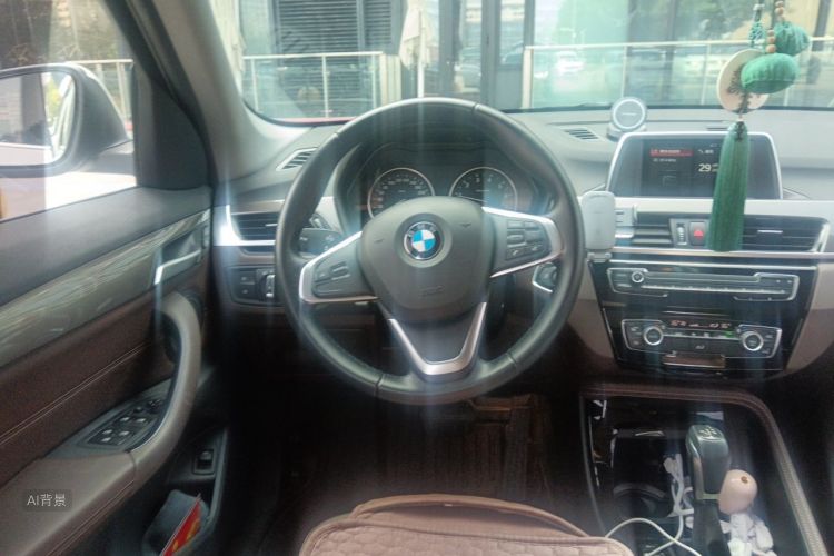 BMW X1 2017 car image #12
