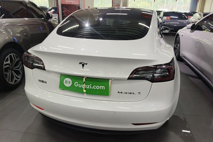 Tesla Model 3 2020 #6 Tesla Model 3 2020 car image #6