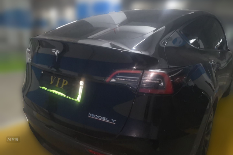 Tesla Model Y 2021 car image #6