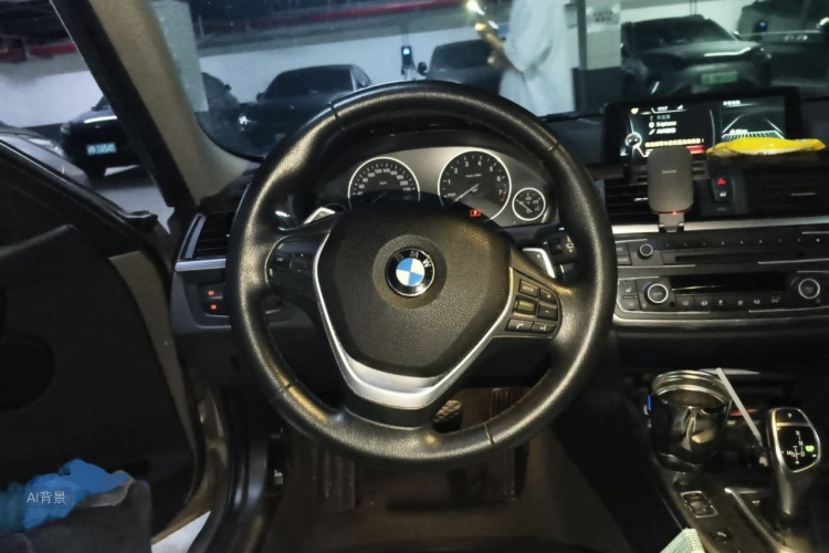 BMW 3 Series 2014 car image #12