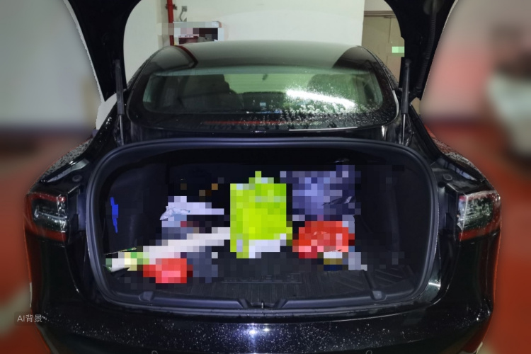 Tesla Model 3 2020 car image #21