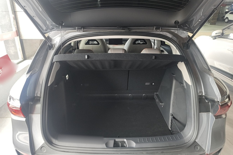 BYD Yuan Plus 2024 car image #19