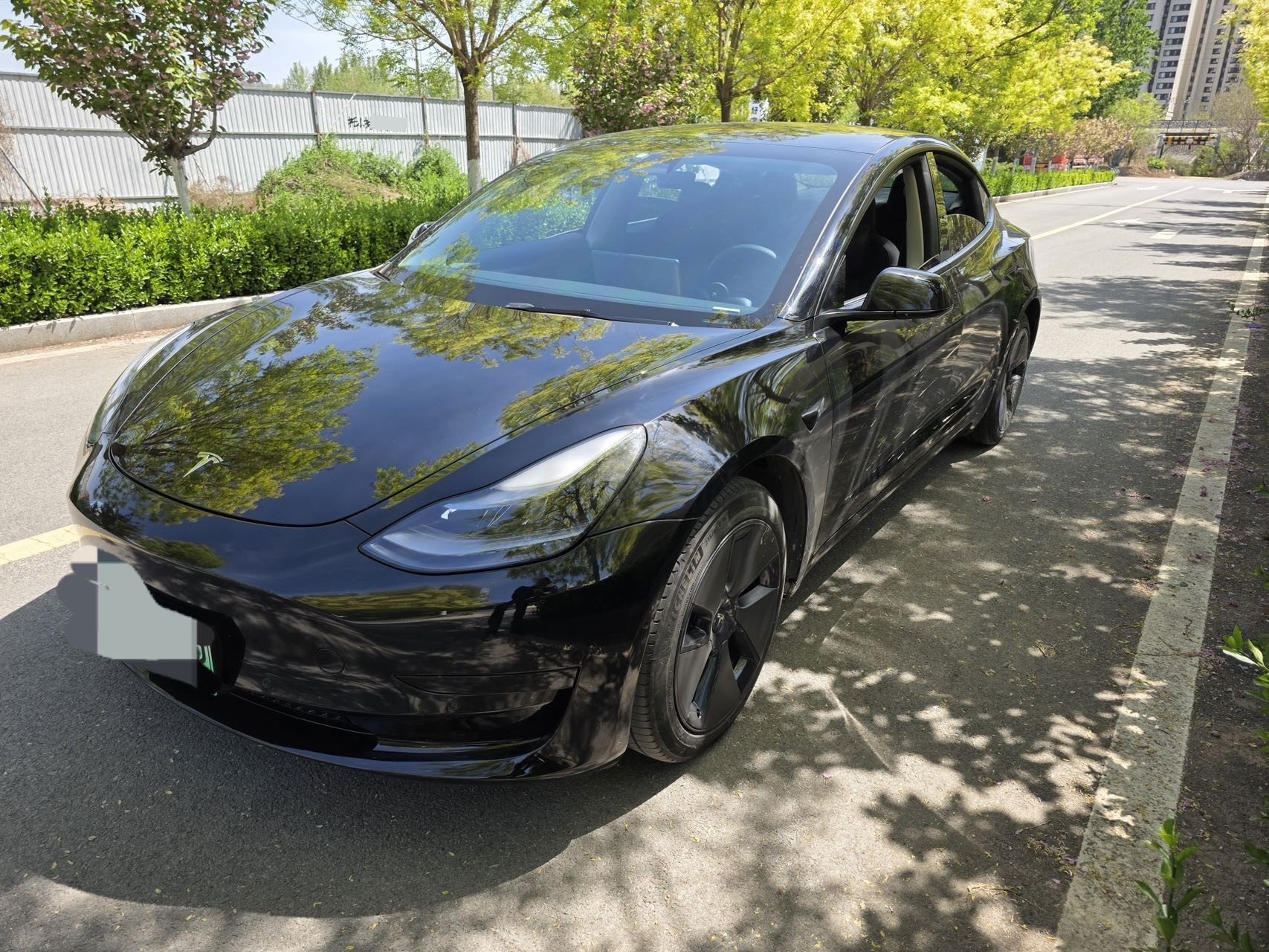 Tesla Model 3 2023 Tesla Model 3 2023 car image