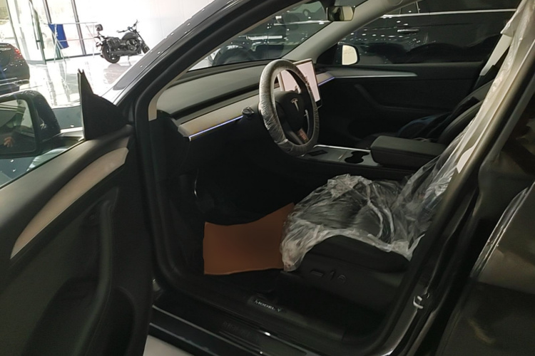 Tesla Model Y 2025 car image #16
