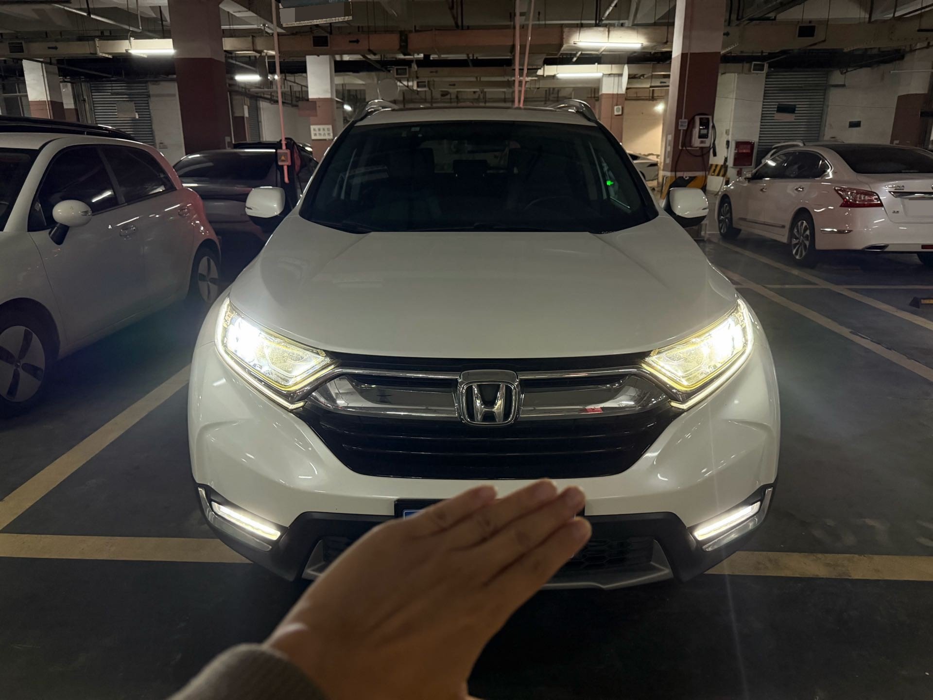 2019 #3 2019 car image #3