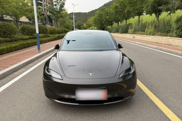 Tesla Model 3 2023 immagine di auto #8