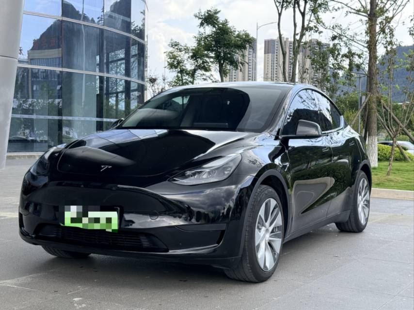 Tesla Model Y 2023 Tesla Model Y 2023 car image