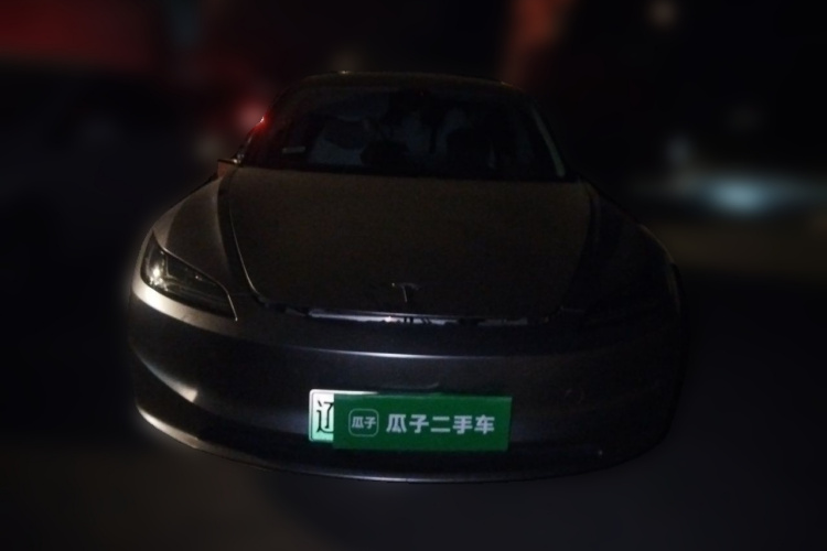 Tesla Model 3 2024 #3 Tesla Model 3 2024 car image #3