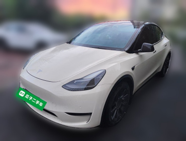 Tesla Model Y 2021 car image 
