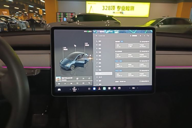 Tesla Model Y 2024 car image #13