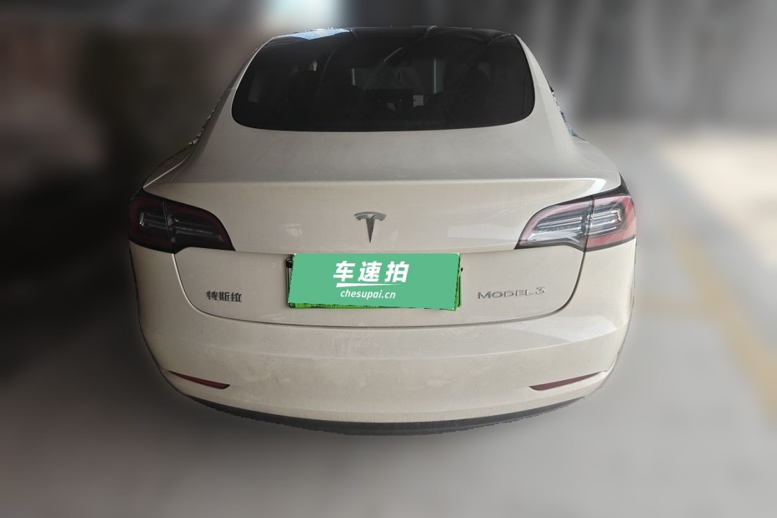 Tesla Model 3 2021 car image #6