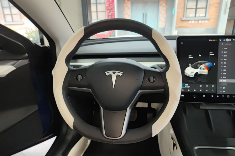 Tesla Model 3 2022 car image #15