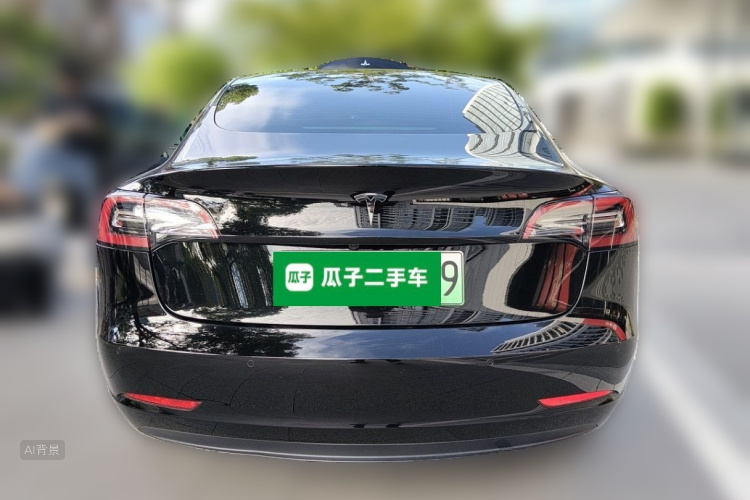 Tesla Model 3 2021 car image #6