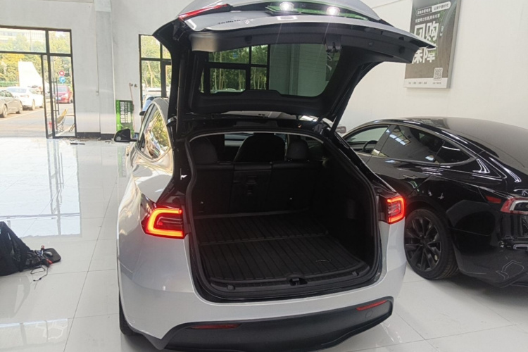 Tesla Model Y 2022 car image #19