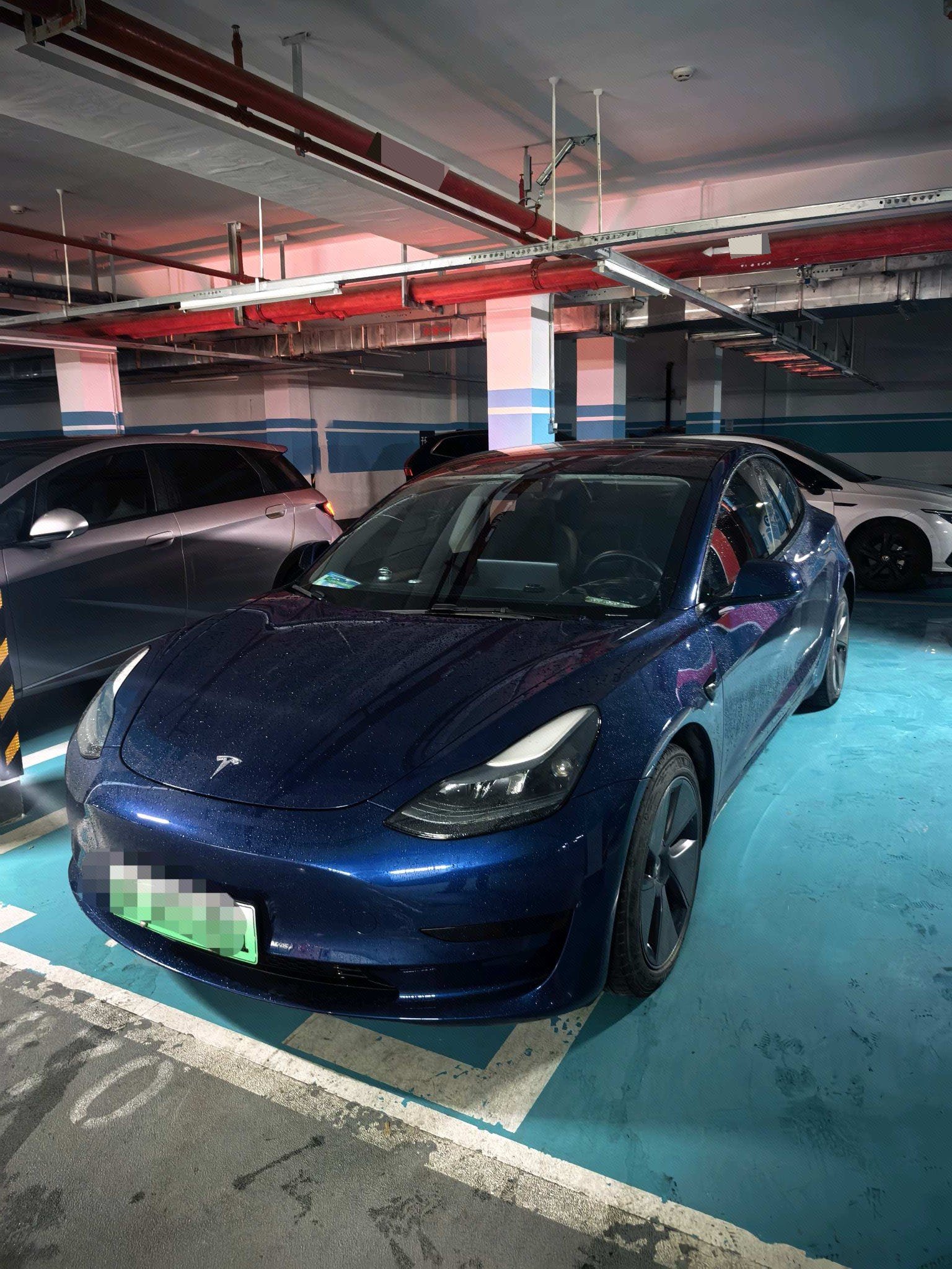 Tesla Model 3 2021 Tesla Model 3 2021 immagine di auto