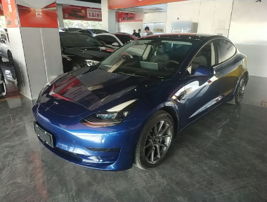 Tesla Model 3 2021 car image 