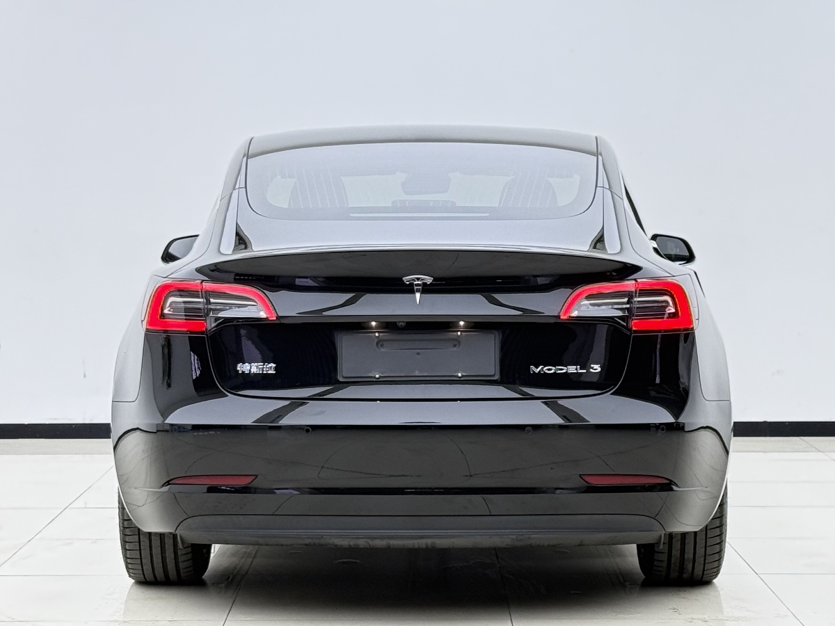 Tesla Model 3 2020 car image #7
