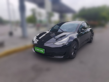 Tesla Model 3 2021 car image 