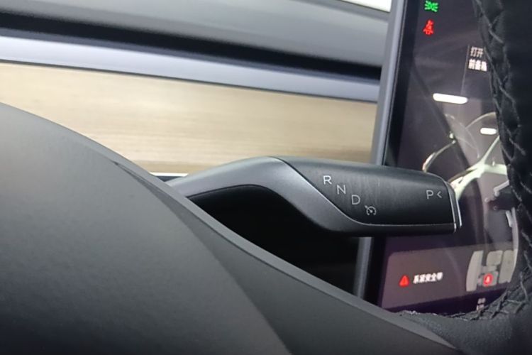 Tesla Model Y 2021 #14 Tesla Model Y 2021 صورة سيارة #14