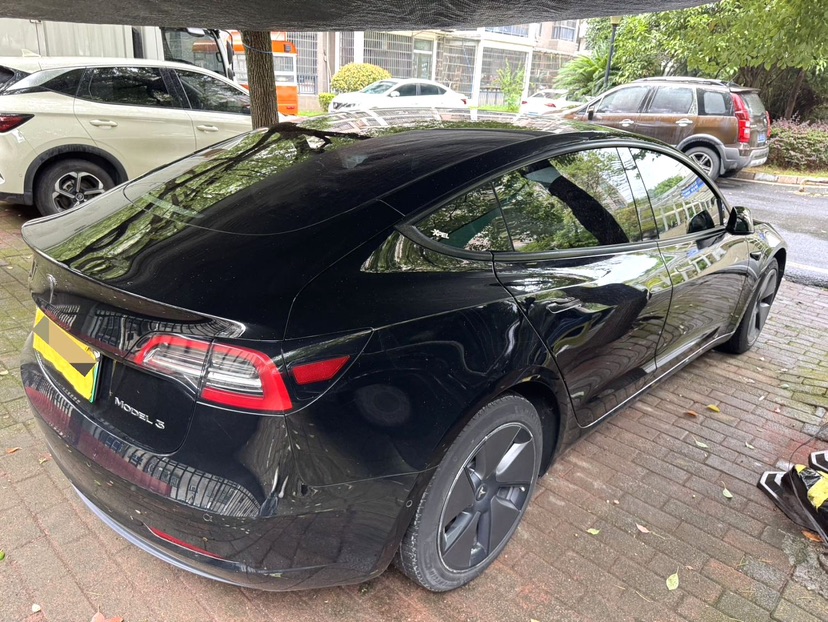 Tesla Model 3 2023 #6 Tesla Model 3 2023 car image #6