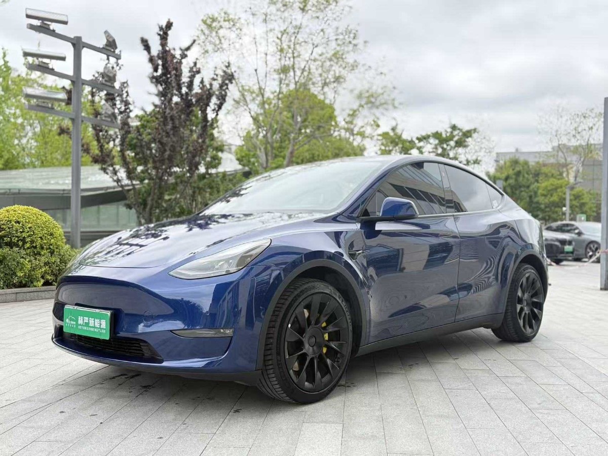 Tesla Model Y 2021 صورة سيارة 