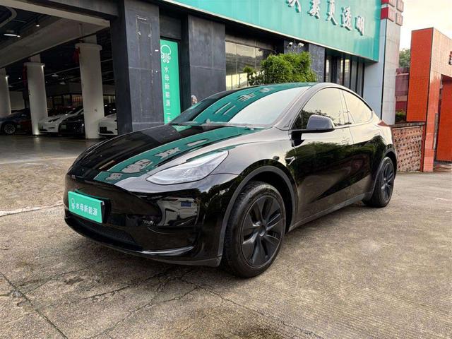 Tesla Model Y 2023 car image #15