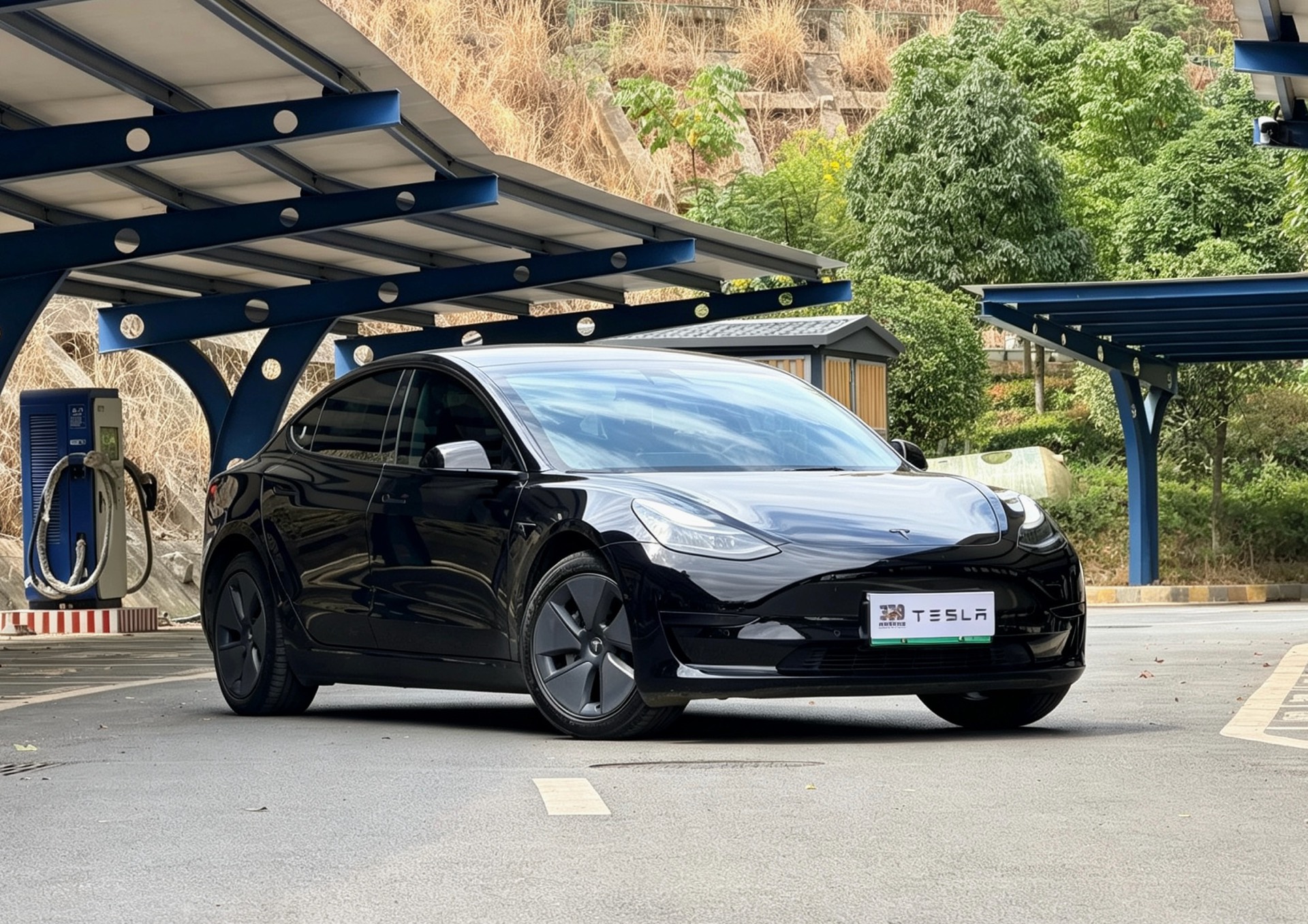 Tesla Model 3 2023 #3 Tesla Model 3 2023 car image #3