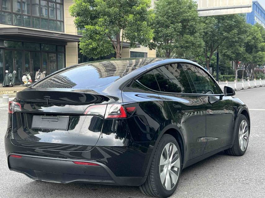 Tesla Model Y 2023 car image #12