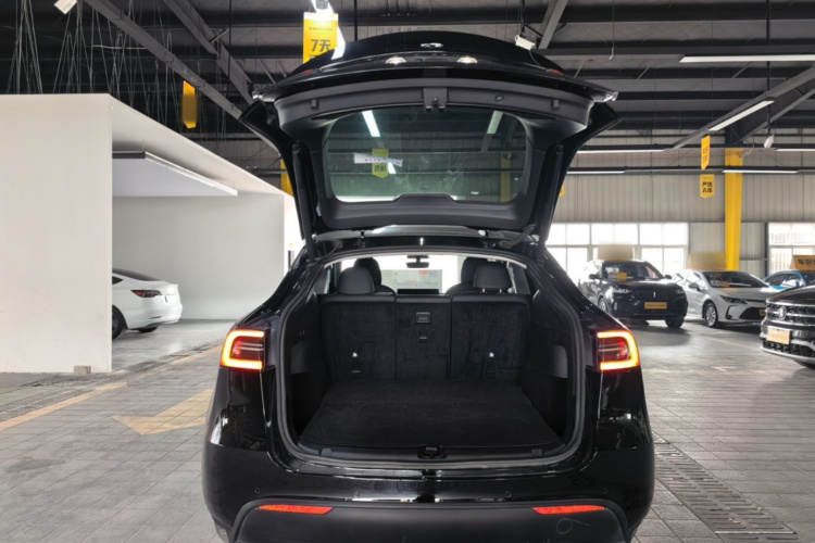 Tesla Model Y 2021 #19 Tesla Model Y 2021 car image #19