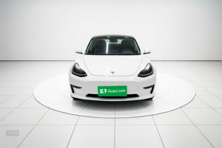Tesla Model 3 2021 #3 Tesla Model 3 2021 immagine di auto #3
