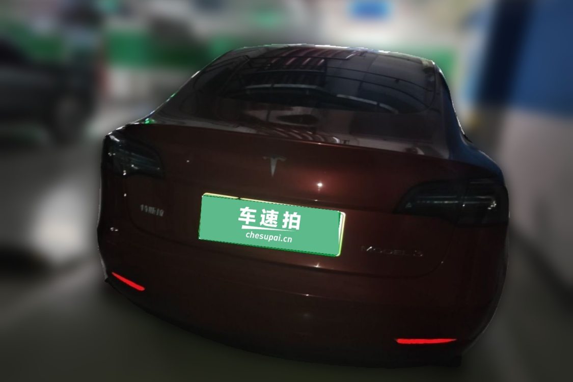 Tesla Model 3 2020 immagine di auto #6
