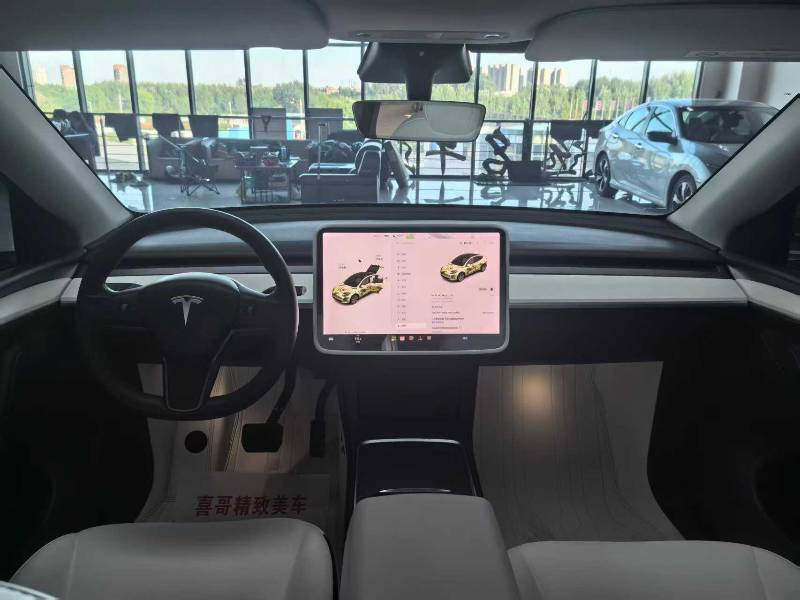 Tesla Model Y 2021 car image #9