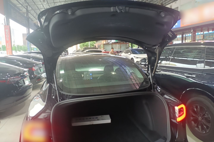 Tesla Model 3 2020 car image #19