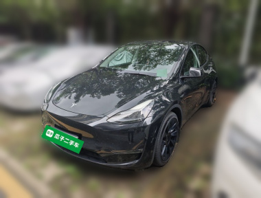 Tesla Model Y 2022 Tesla Model Y 2022 car image