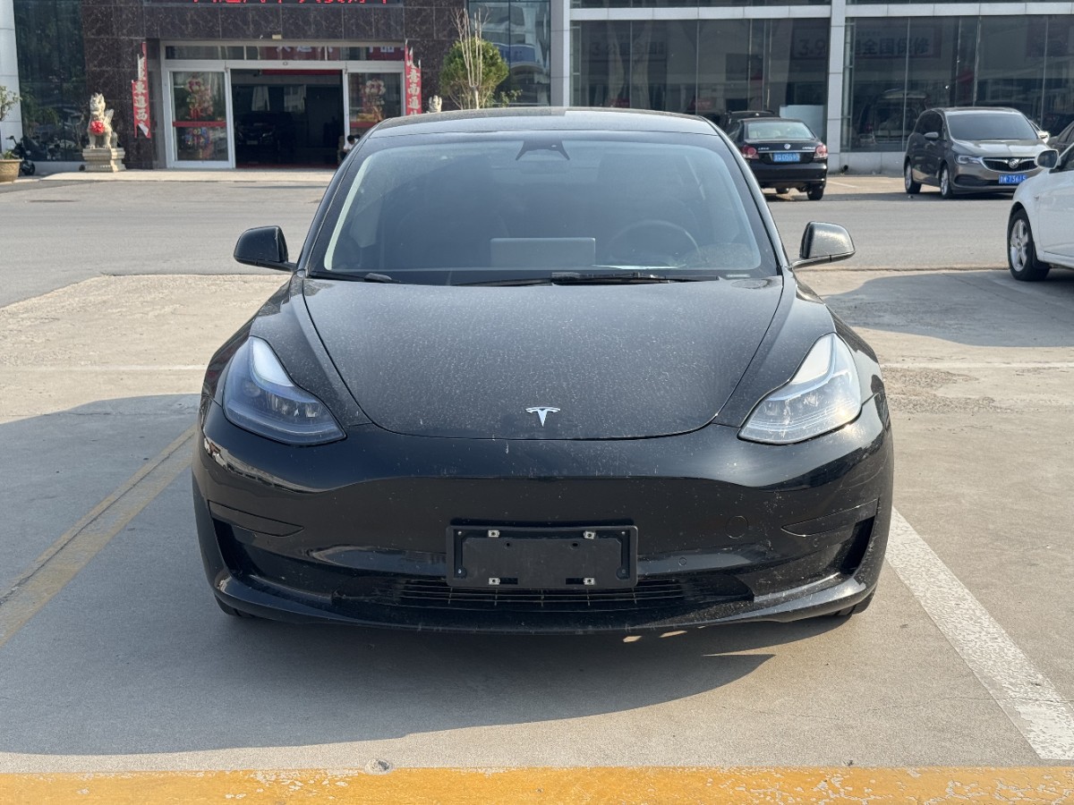 Tesla Model 3 2023 #2 Tesla Model 3 2023 car image #2