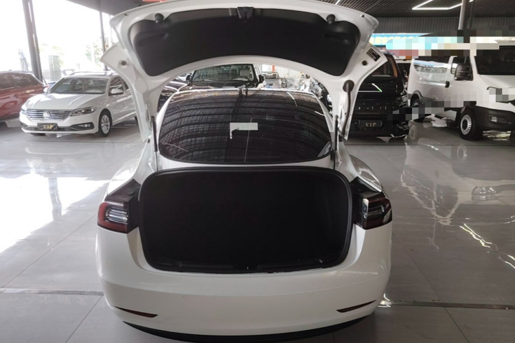 Tesla Model 3 2020 #19 Tesla Model 3 2020 car image #19