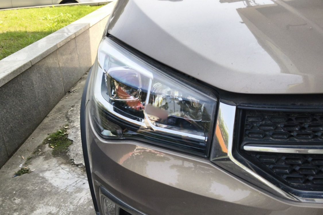 Chery Tiggo 3x 2020 immagine di auto #7