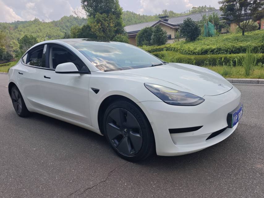 Tesla Model 3 2021 car image #3