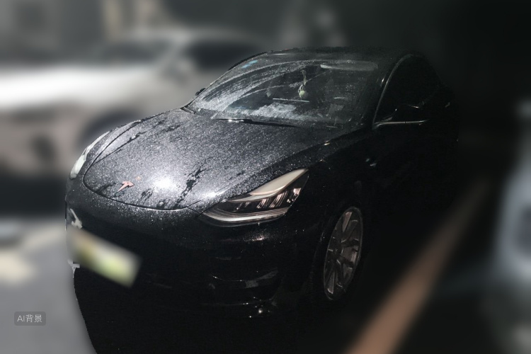 Tesla Model 3 2020 car image #2
