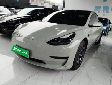 Tesla Model 3 2023 Tesla Model 3 2023 car image