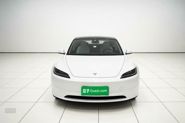 Tesla Model 3 2024 car image #3
