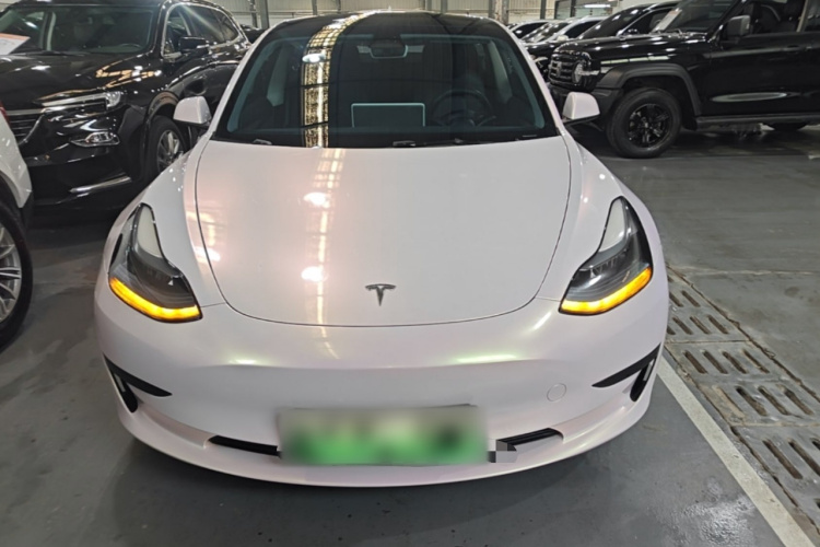 Tesla Model 3 2023 #3 Tesla Model 3 2023 car image #3