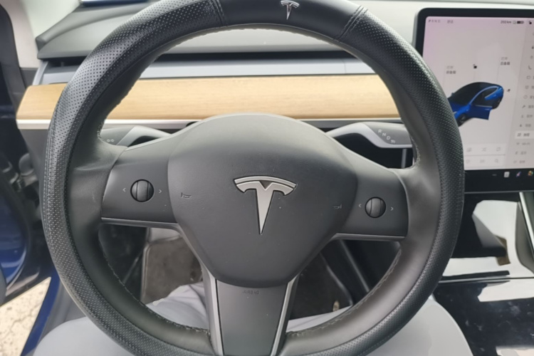 Tesla Model 3 2020 car image #15