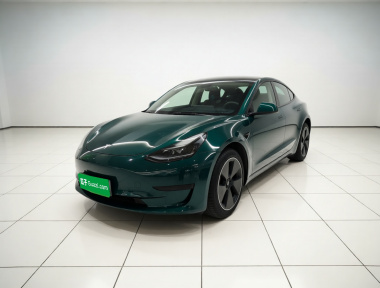 Tesla Model 3 2021 Tesla Model 3 2021 car image