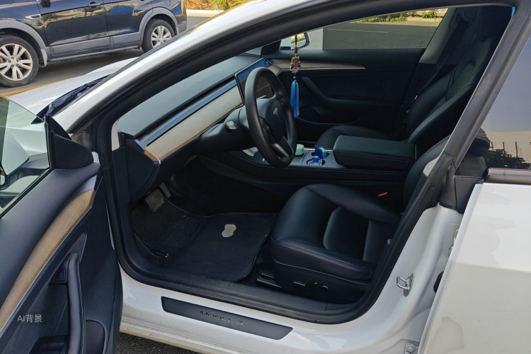 Tesla Model 3 2021 car image #17
