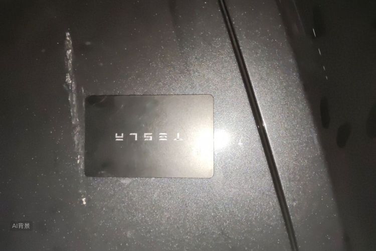 Tesla Model 3 2024 car image #10