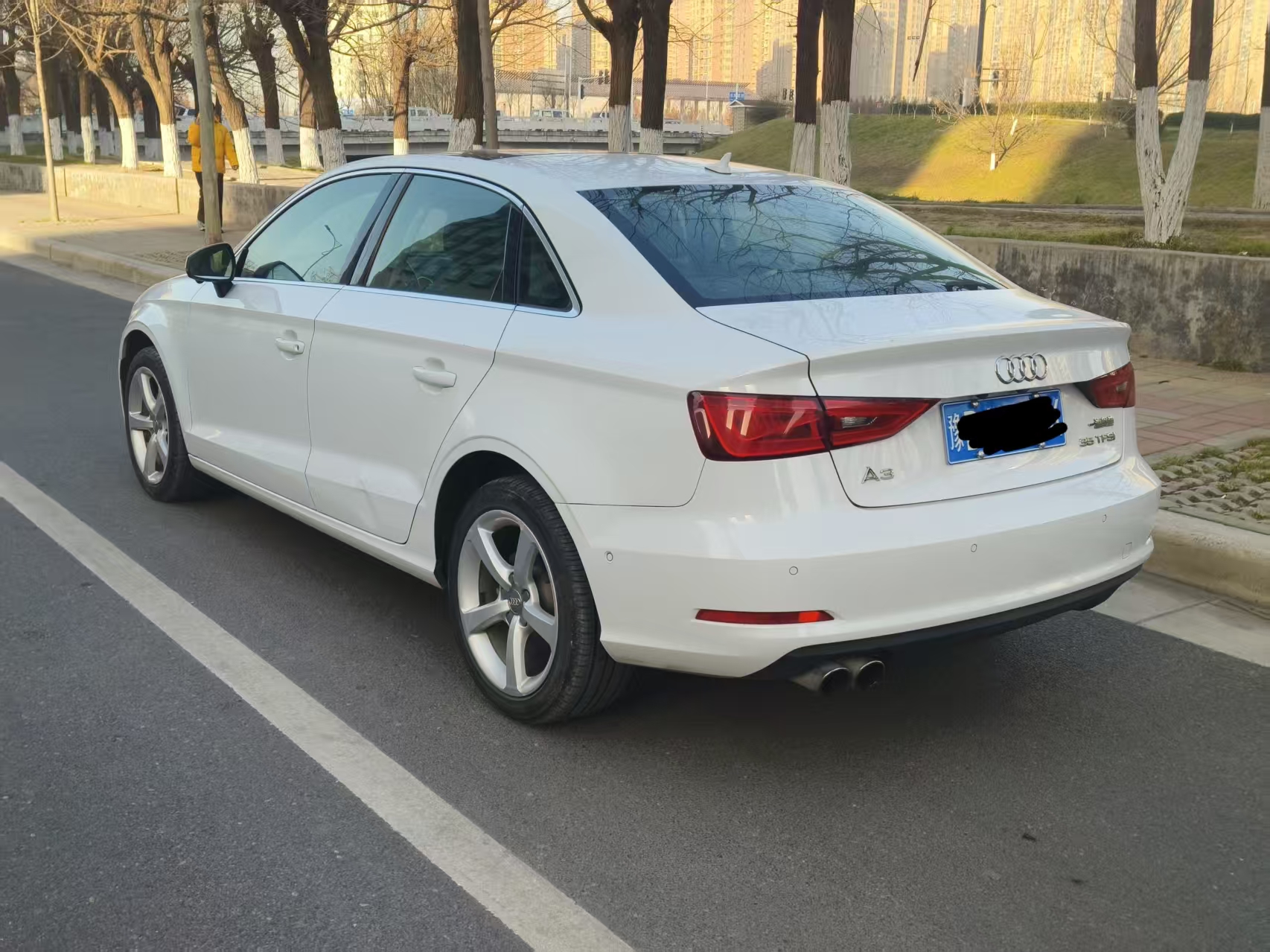 Audi A3 2015 imagen de coche #9